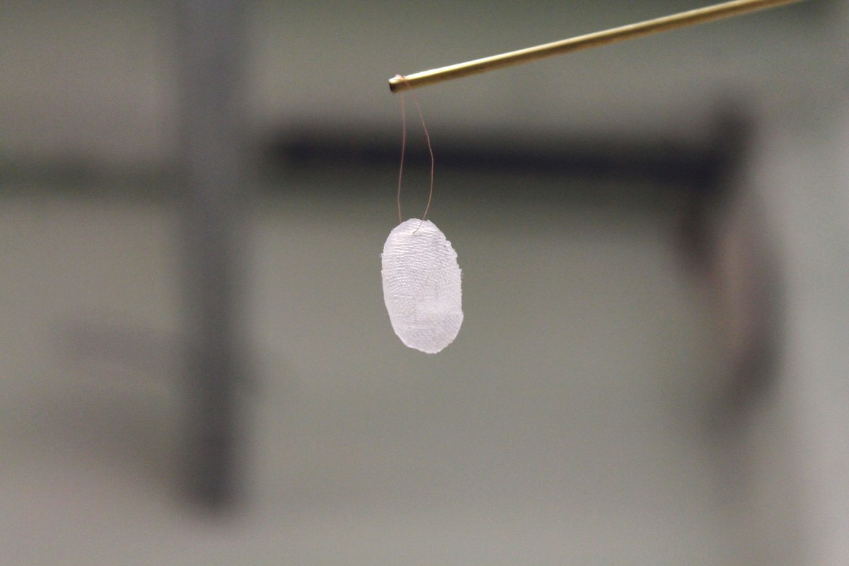 Zero Silicon, brass, aluminum string.  100 cm x 0.2 cm (rod),  1 cm x 1.6 cm x 0.1 cm (silicon), 2015